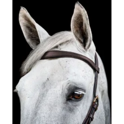Horseware Micklem Multi Bridle New Dark Havana