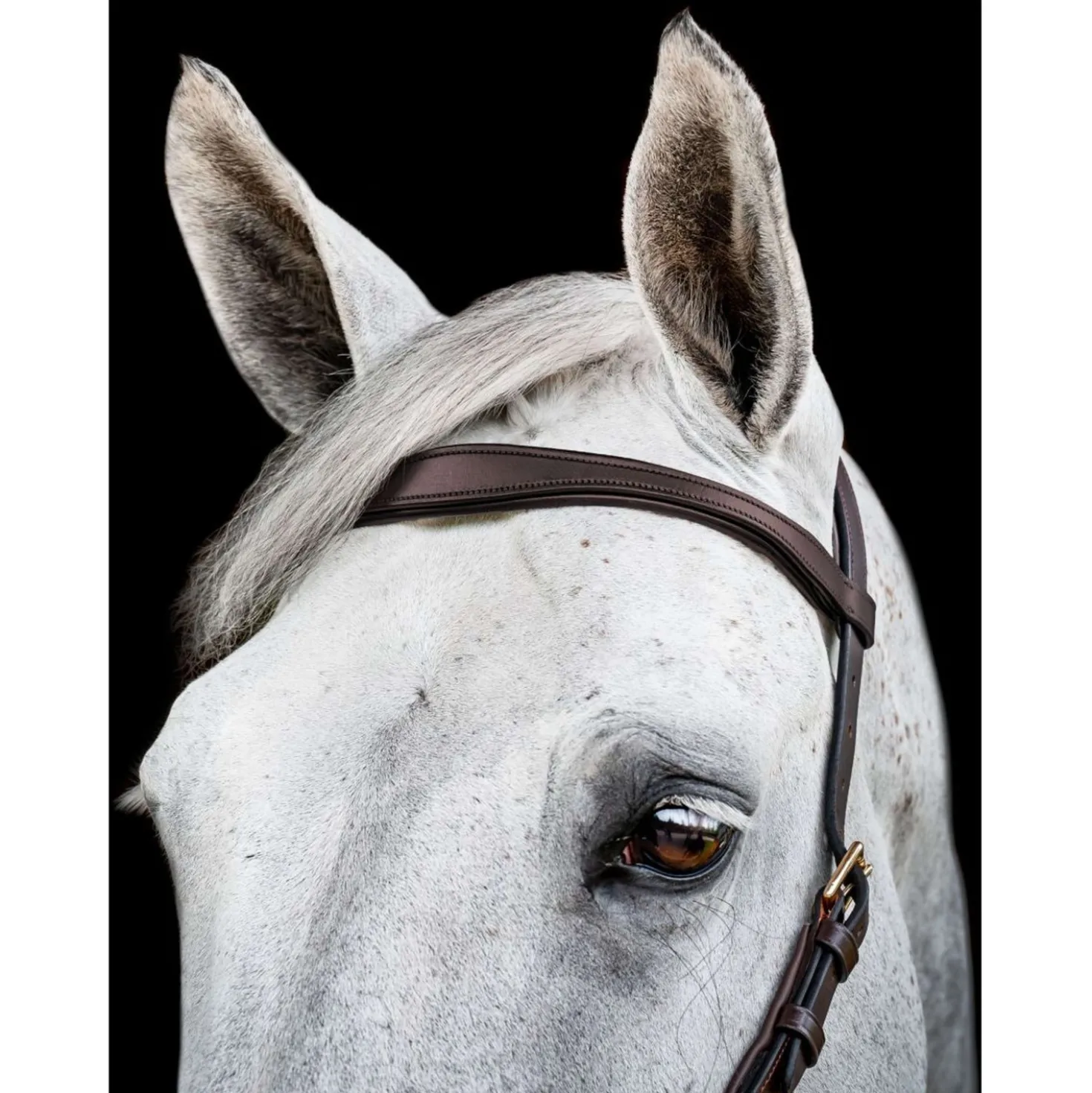 Horseware Micklem Multi Bridle New Dark Havana