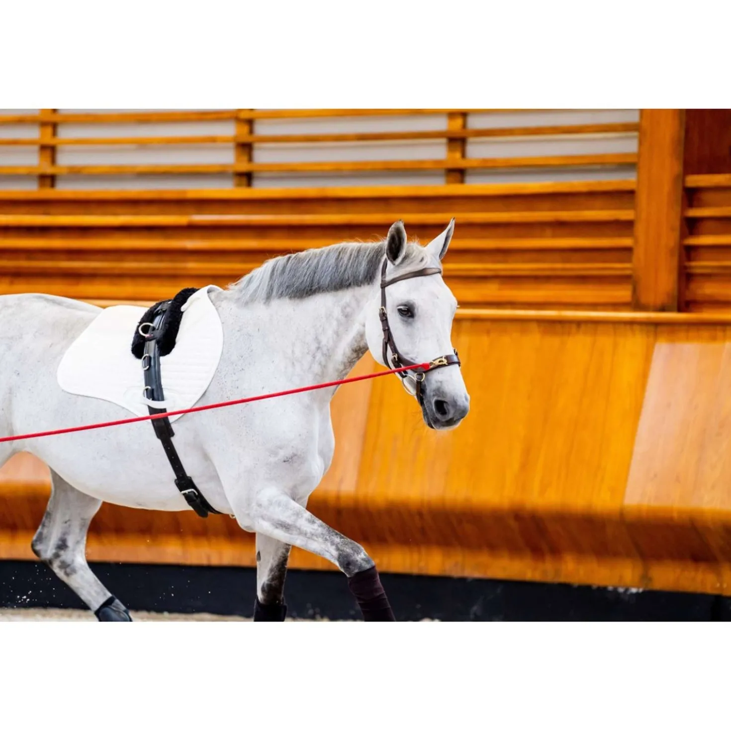 Horseware Micklem Multi Bridle New Dark Havana