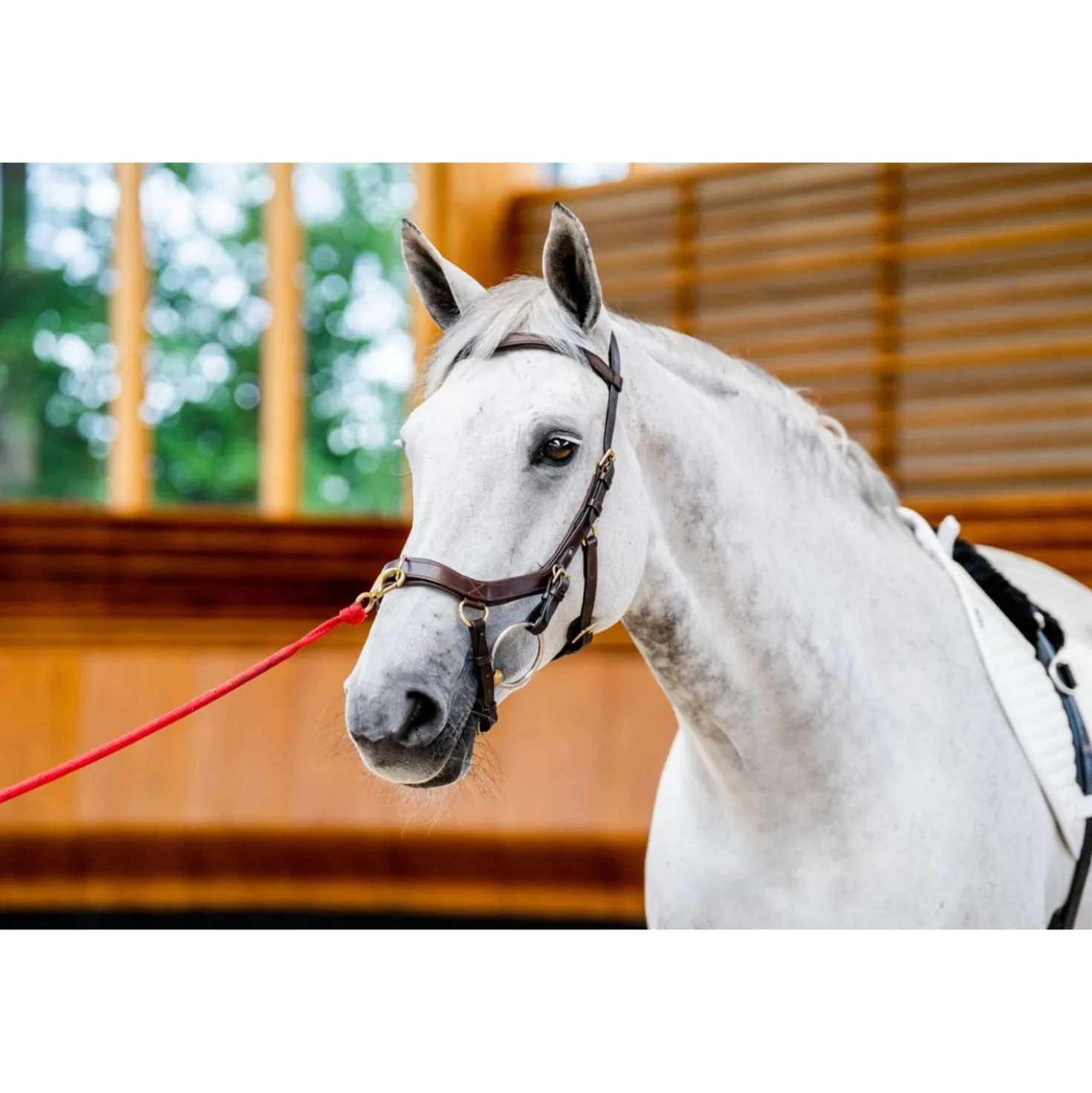 Horseware Micklem Multi Bridle New Dark Havana