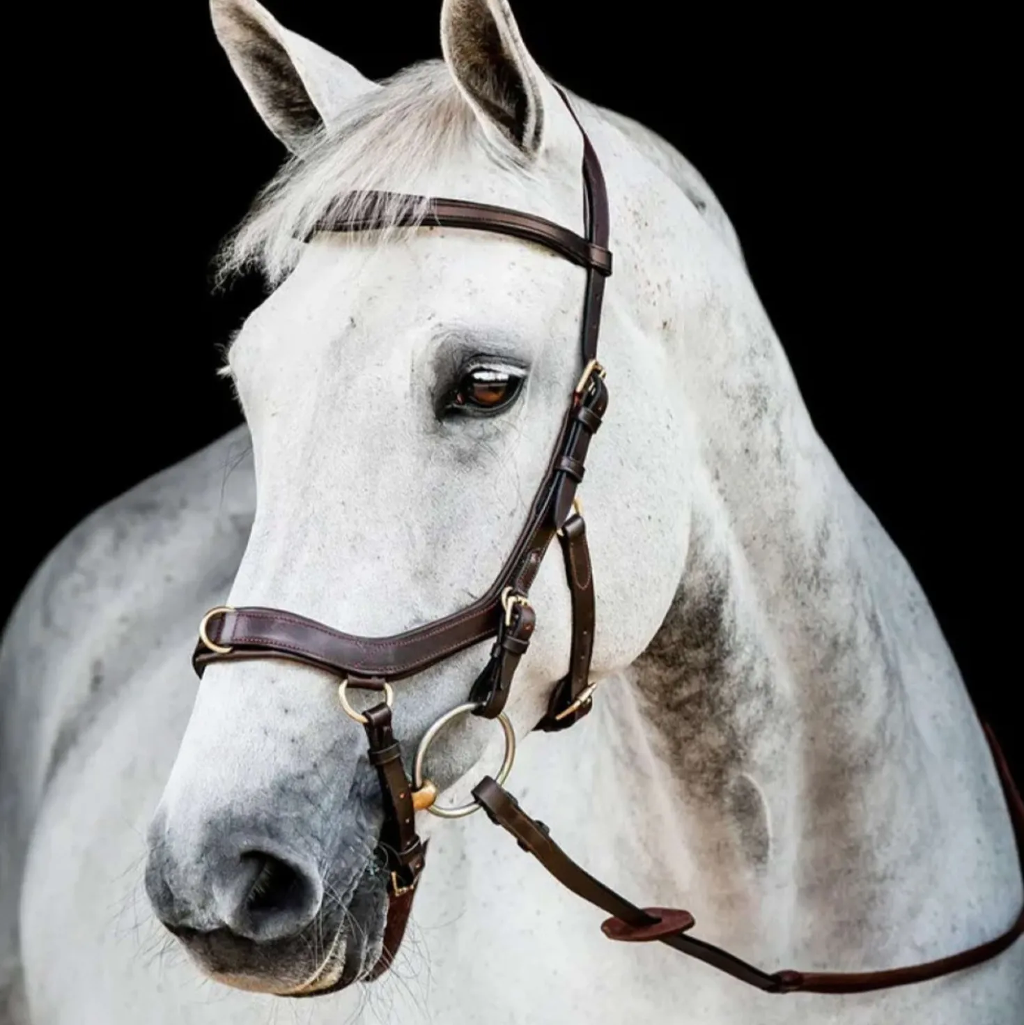 Horseware Micklem Multi Bridle New Dark Havana