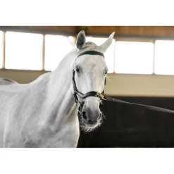 Horseware Micklem Multi Bridle Zwart
