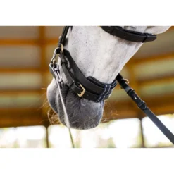 Horseware Micklem Multi Bridle Zwart