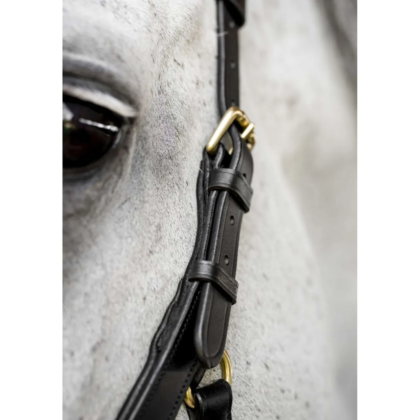 Horseware Micklem Multi Bridle Zwart