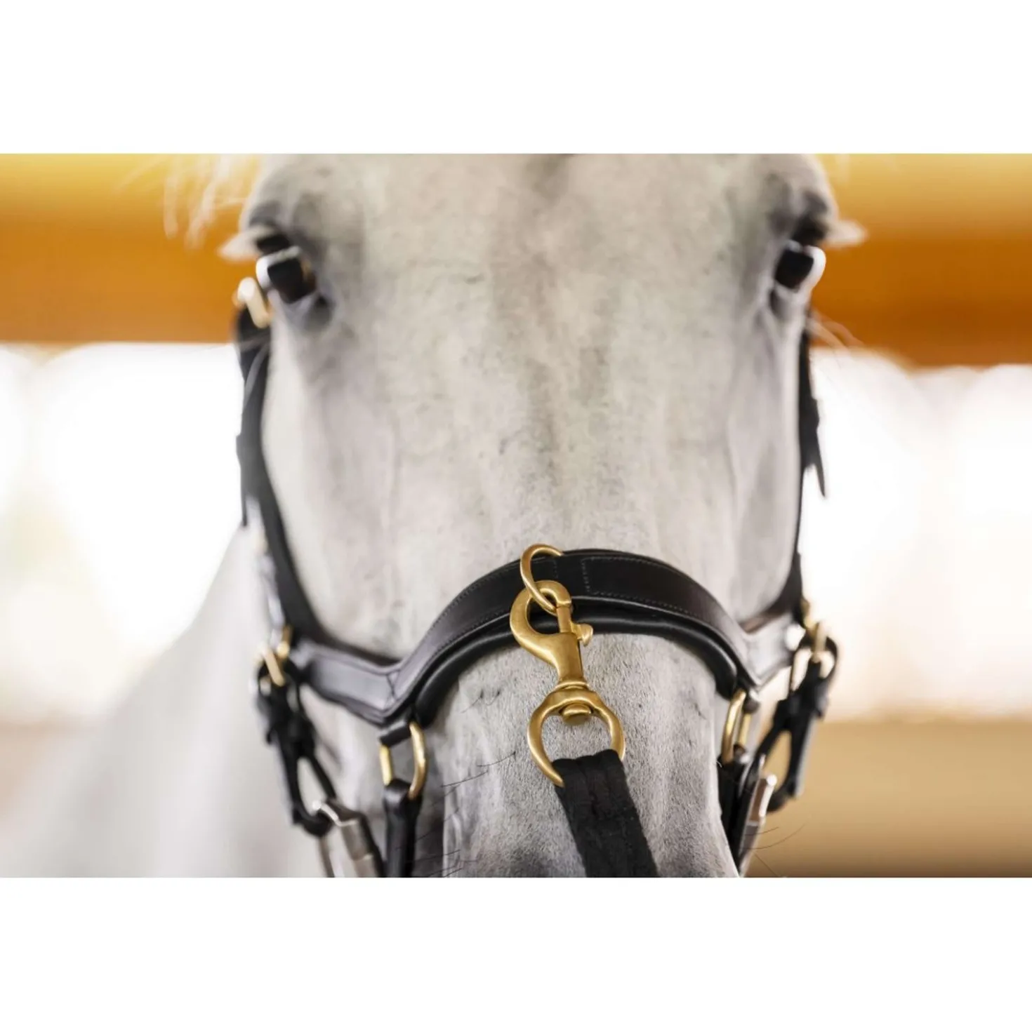 Horseware Micklem Multi Bridle Zwart