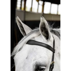 Horseware Micklem Multi Bridle Zwart