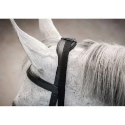Horseware Micklem Multi Bridle Zwart