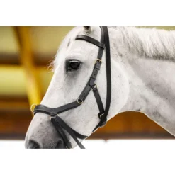 Horseware Micklem Multi Bridle Zwart