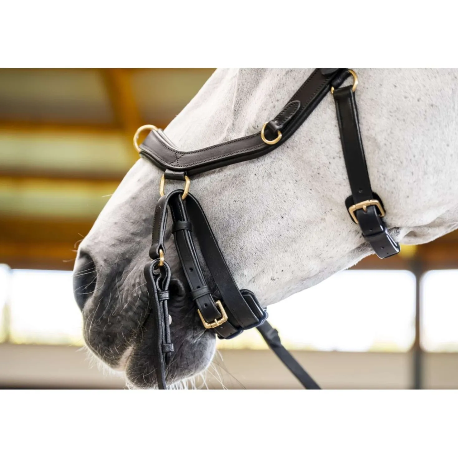 Horseware Micklem Multi Bridle Zwart