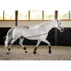 Horseware Micklem Multi Bridle Zwart
