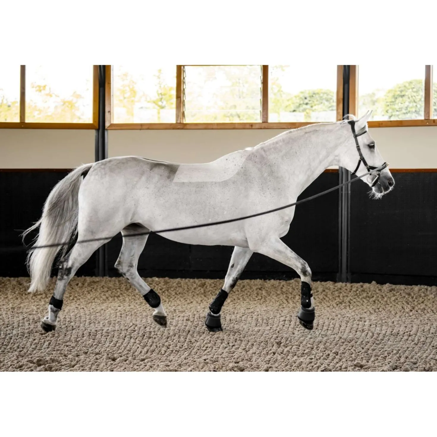 Horseware Micklem Multi Bridle Zwart