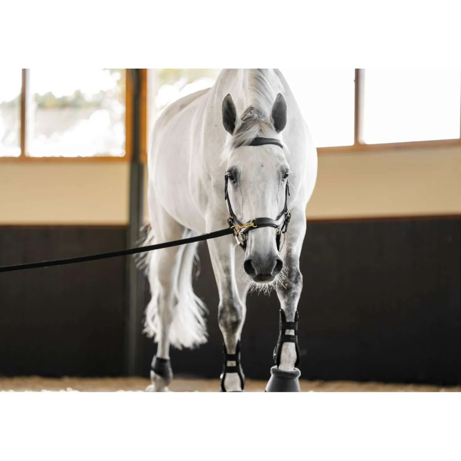 Horseware Micklem Multi Bridle Zwart