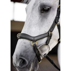 Horseware Micklem Multi Bridle Zwart