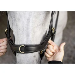 Horseware Micklem Multi Bridle Zwart