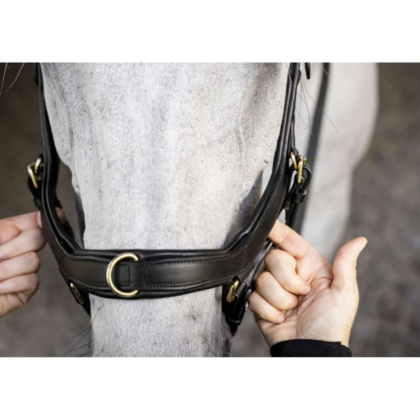 Horseware Micklem Multi Bridle Zwart