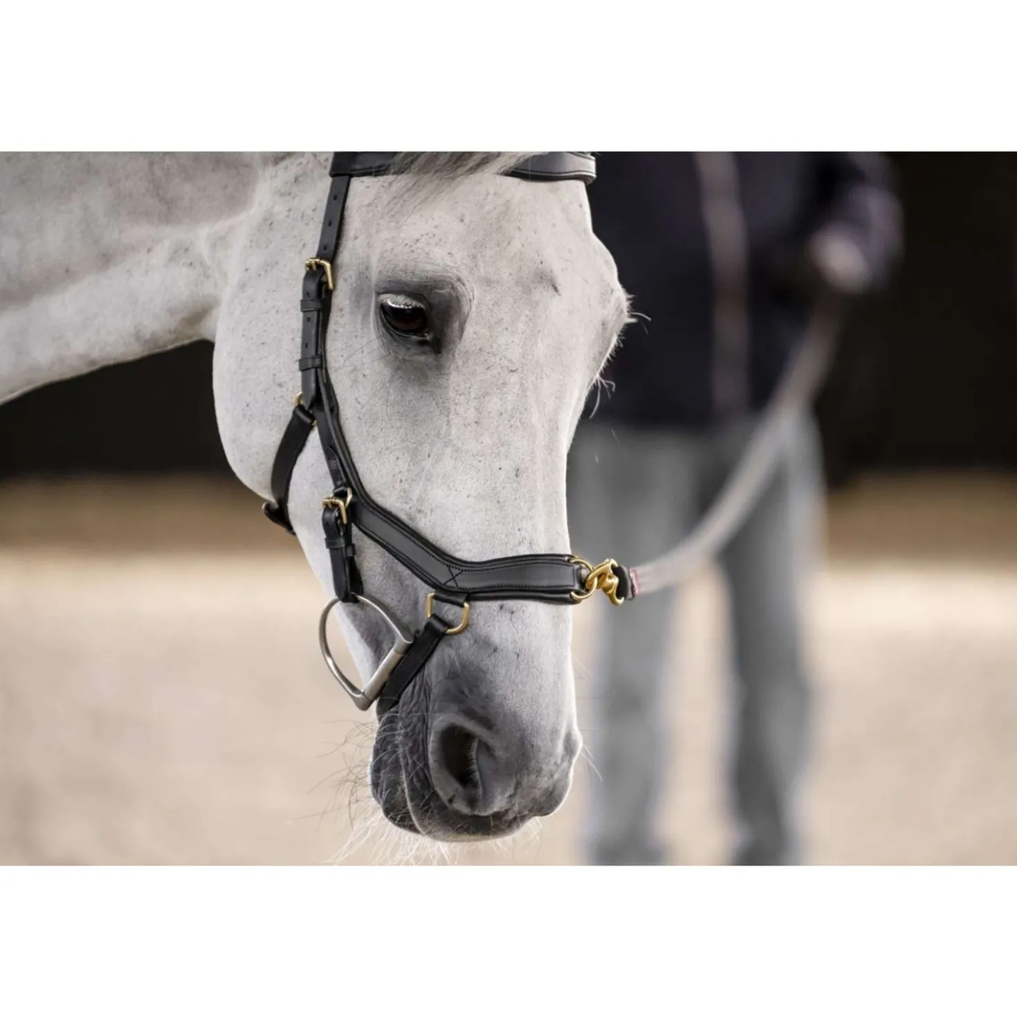 Horseware Micklem Multi Bridle Zwart