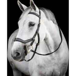 Horseware Micklem Multi Bridle Zwart