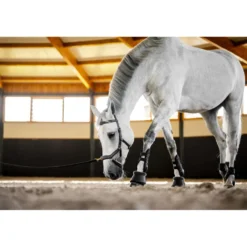 Horseware Micklem Multi Bridle Zwart