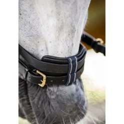 Horseware Micklem Multi Bridle Zwart