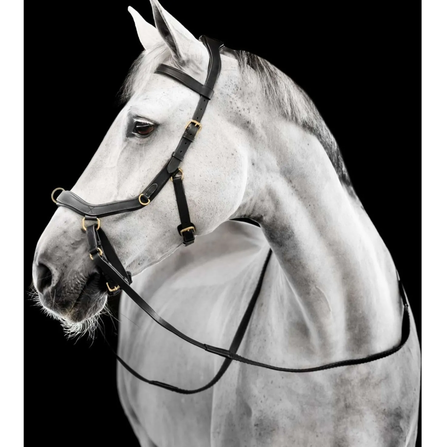 Horseware Micklem Multi Bridle Zwart