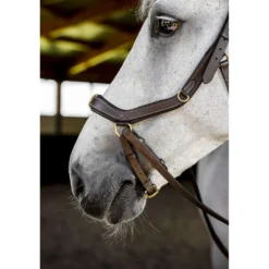 Horseware Micklem Multi Bridle Dark Havana