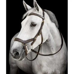 Horseware Micklem Multi Bridle Dark Havana