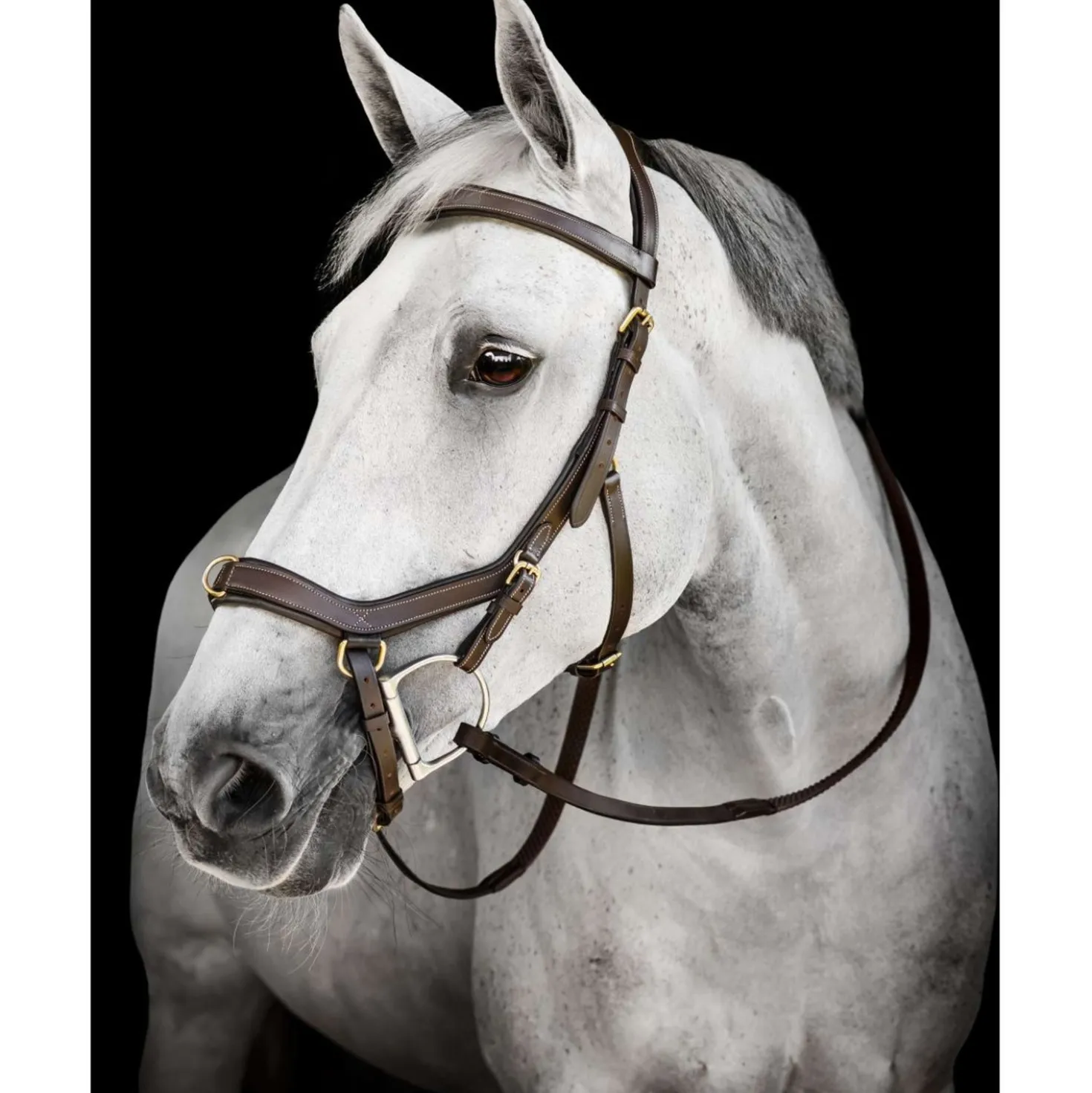 Horseware Micklem Multi Bridle Dark Havana