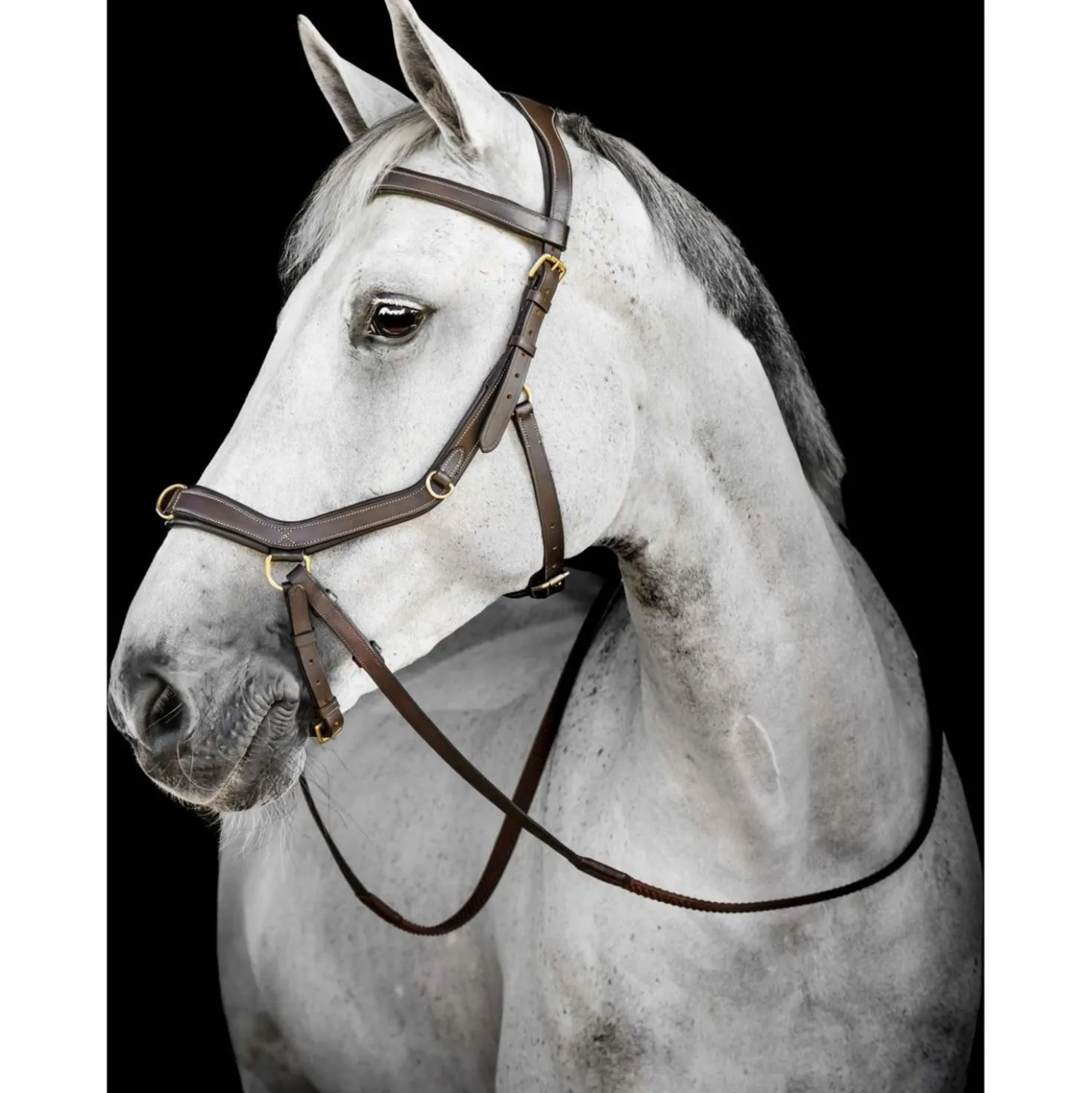 Horseware Micklem Multi Bridle Dark Havana