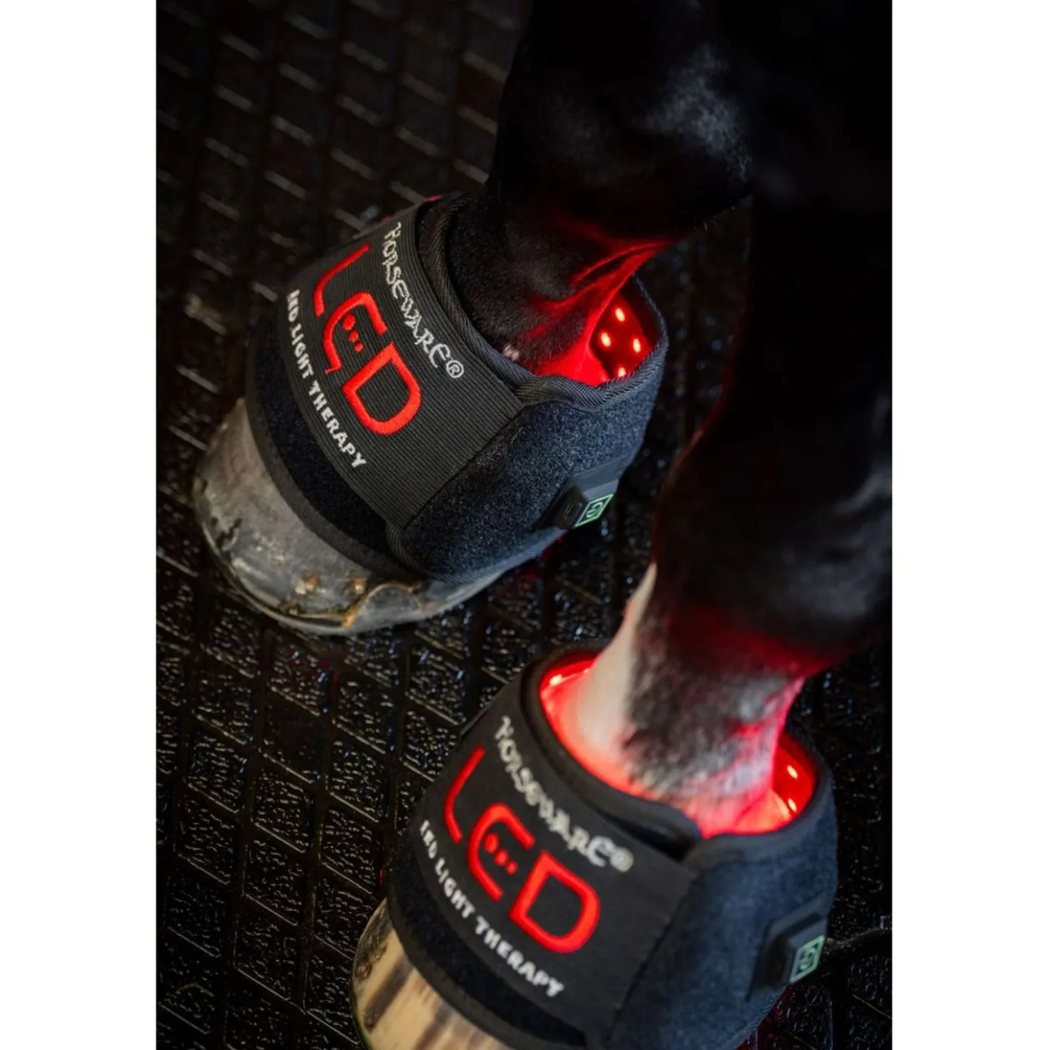 Horseware Mini Wraps LED Red Light Therapy Quad Zwart/Zwart