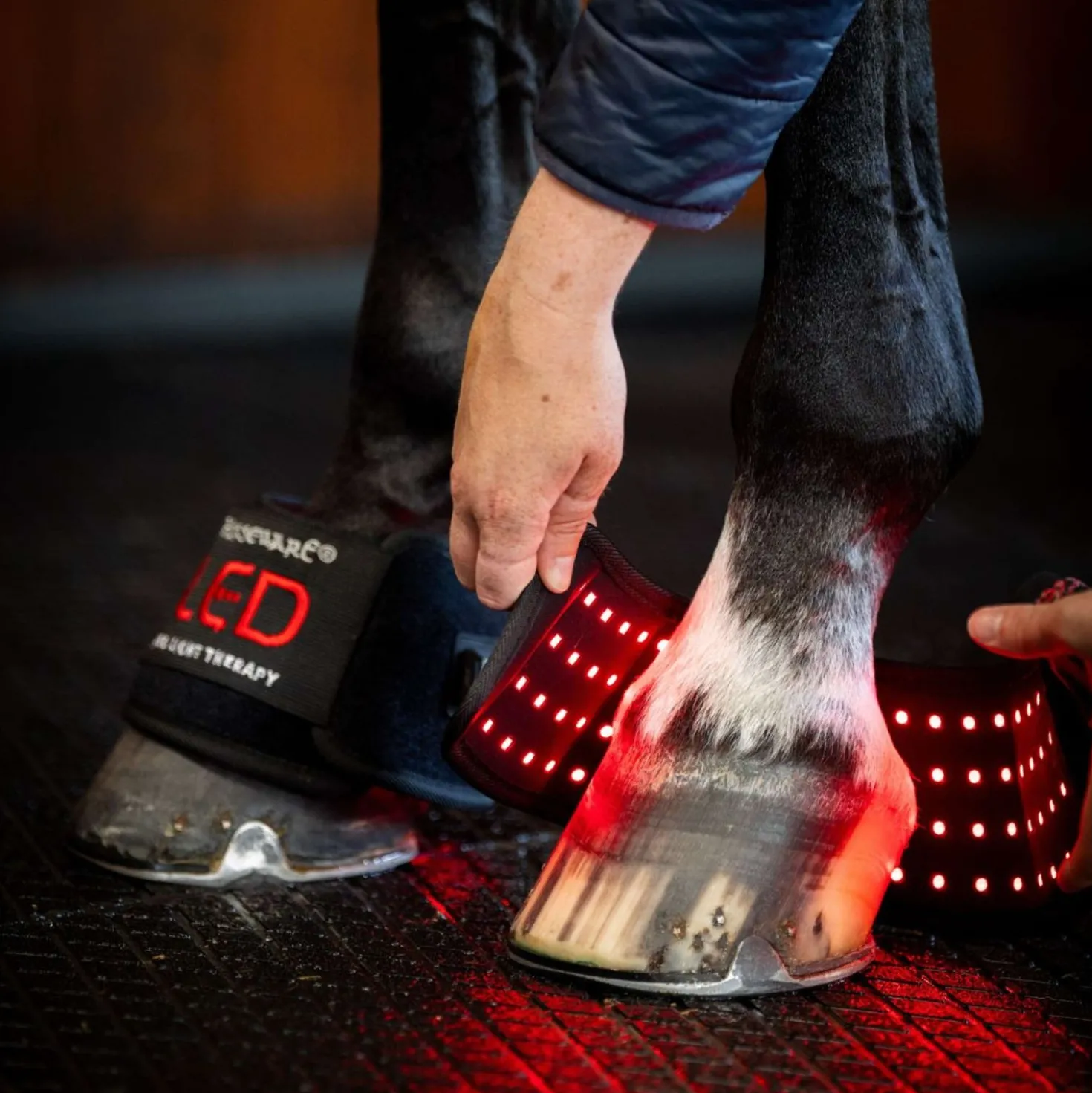 Horseware Mini Wraps LED Red Light Therapy Quad Zwart/Zwart
