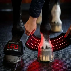 Horseware Mini Wraps LED Red Light Therapy Quad Zwart/Zwart