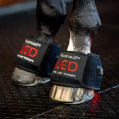 Horseware Mini Wraps LED Red Light Therapy Pair Zwart/Zwart