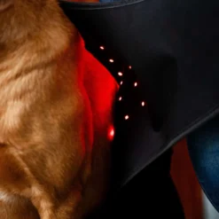 Horseware Pet Leg Wraps LED Red Light Therapy Pair Zwart/Zwart