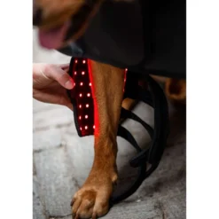 Horseware Pet Leg Wraps LED Red Light Therapy Pair Zwart/Zwart