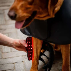 Horseware Pet Leg Wraps LED Red Light Therapy Pair Zwart/Zwart