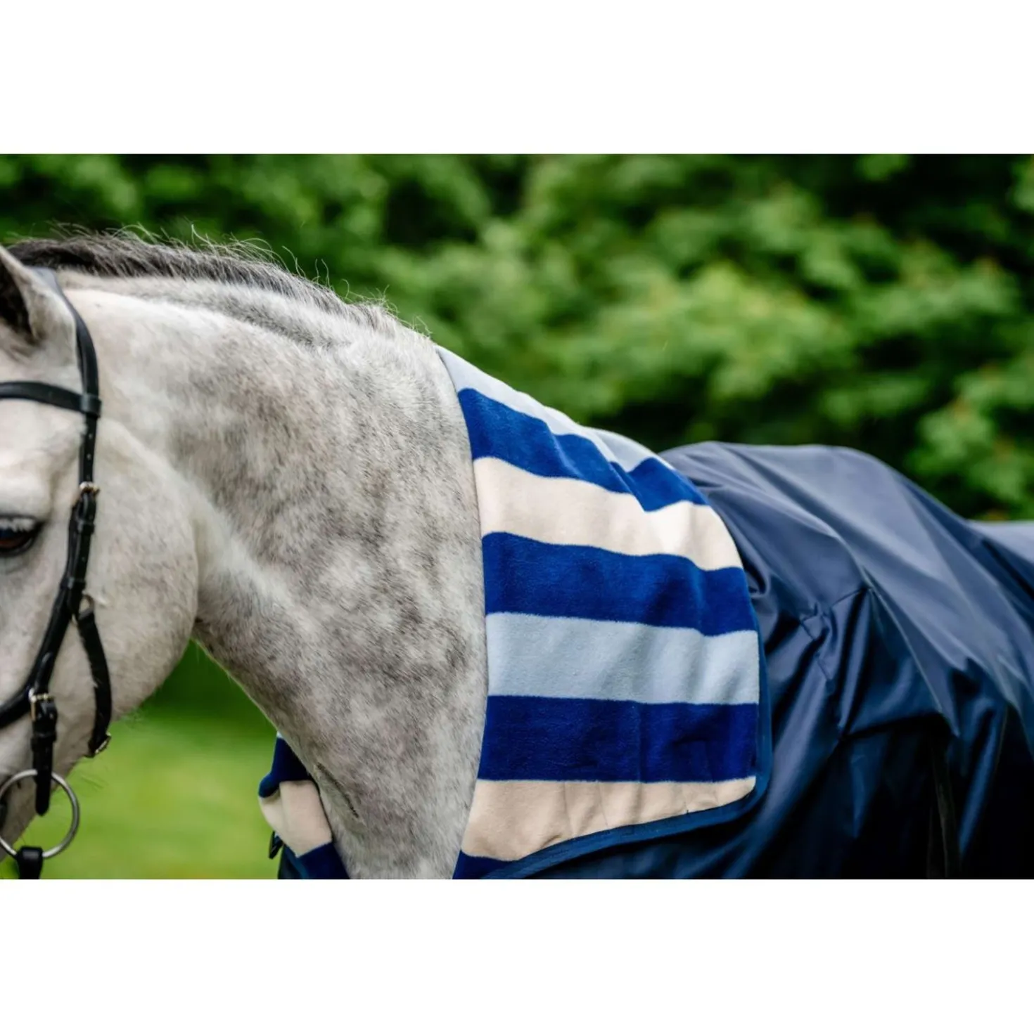Horseware Regenuitrijdeken Newmarket Witney Navy
