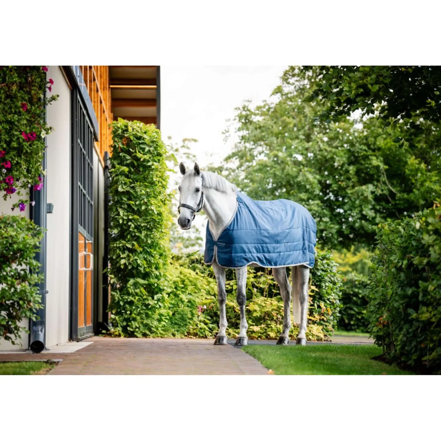 Horseware Therapy Ionic 50g Imperial Blue/Silver/Navy