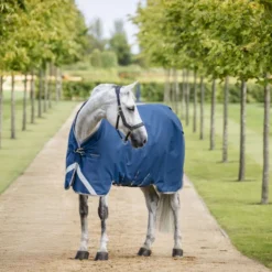 Horseware Therapy Turnout Ionic 100g Imperial Blue/Silver/Navy