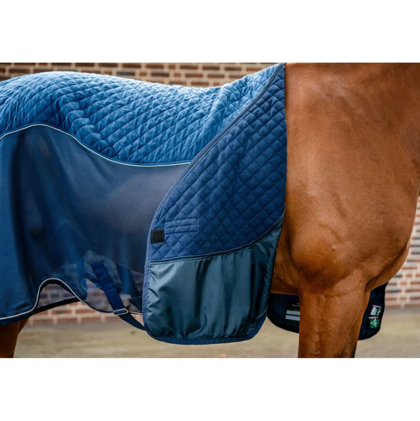 Horseware Travel Cooler Signature Navy
