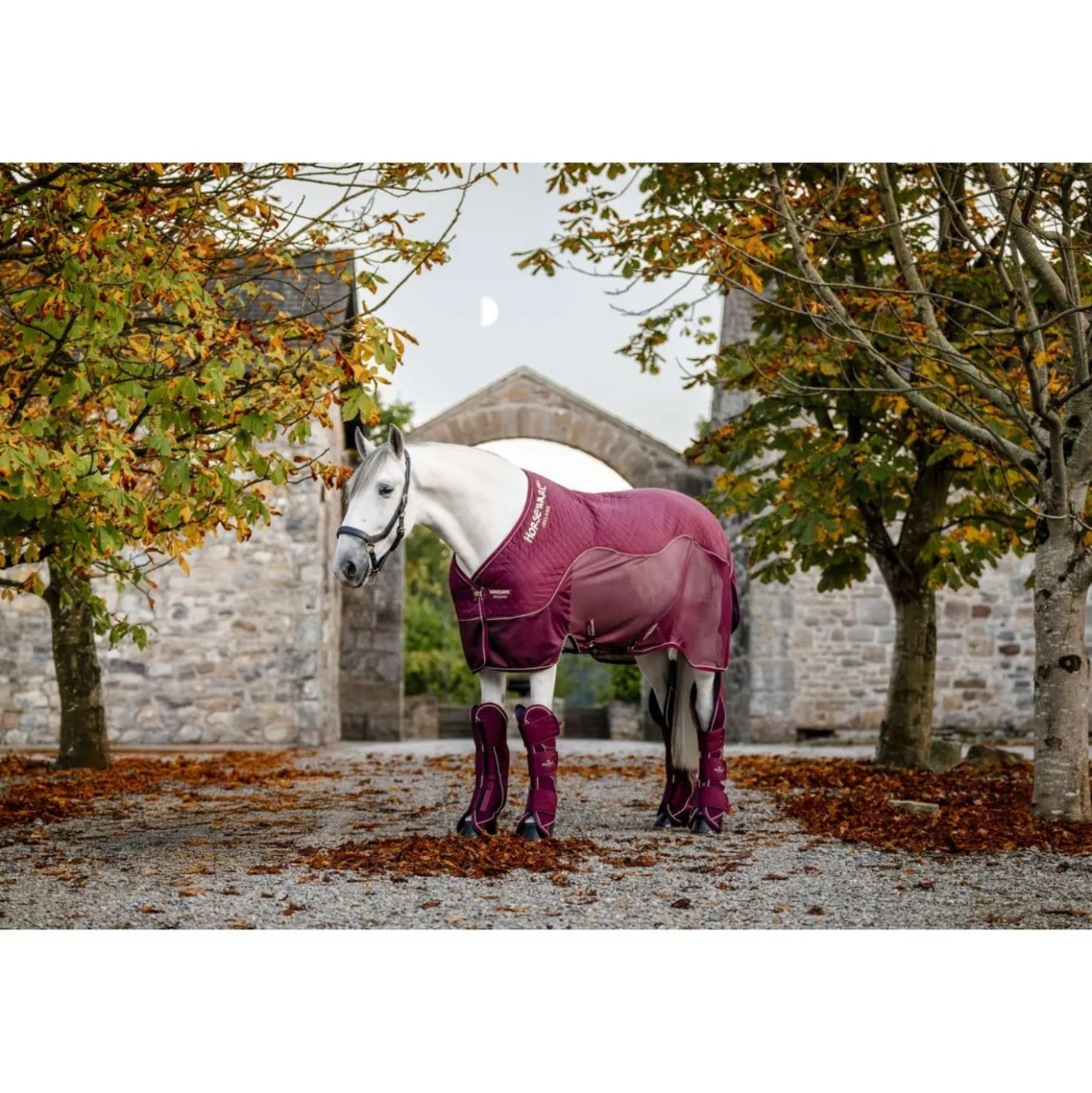 Horseware Travel Cooler Signature Burgundy