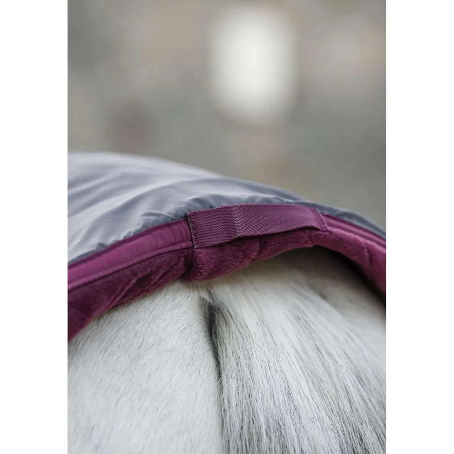 Horseware Travel Cooler Signature Burgundy