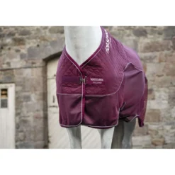 Horseware Travel Cooler Signature Burgundy