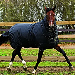 Horseware Trot Plus Heavy 350g Black Tan