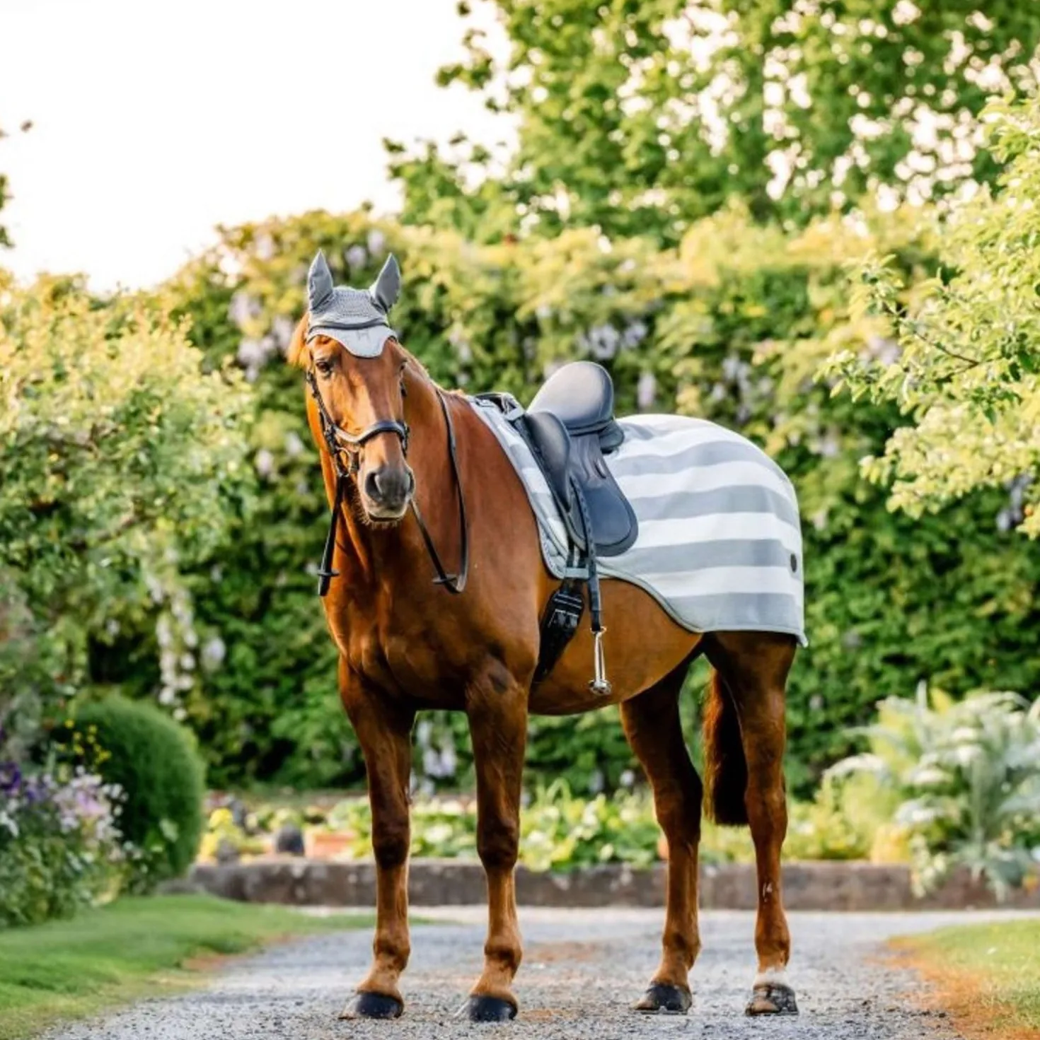 Horseware Uitrijdeken Newmarket Witney Charcoal