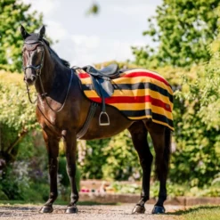 Horseware Uitrijdeken Newmarket Witney Gold