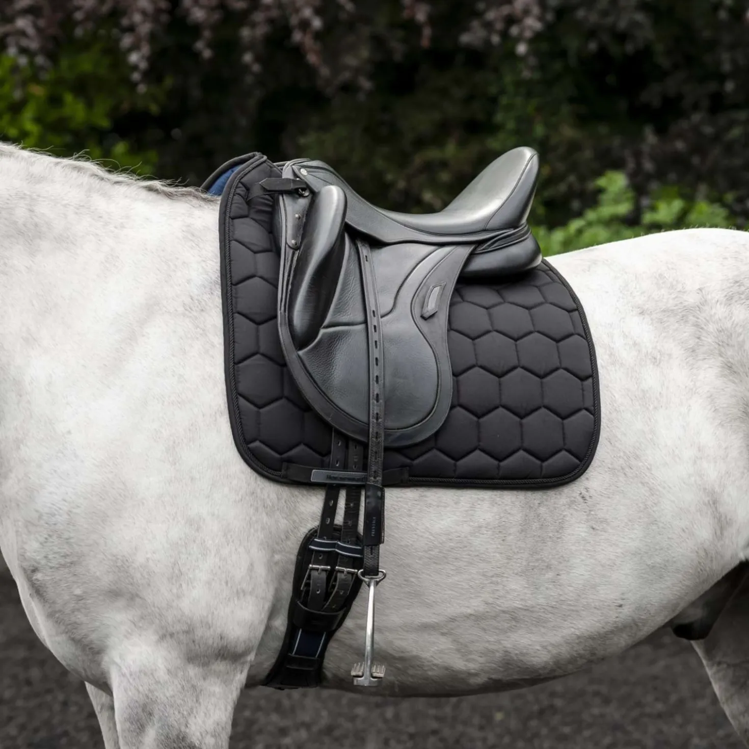 Horseware Zadeldekje Ionic Dressuur Zwart