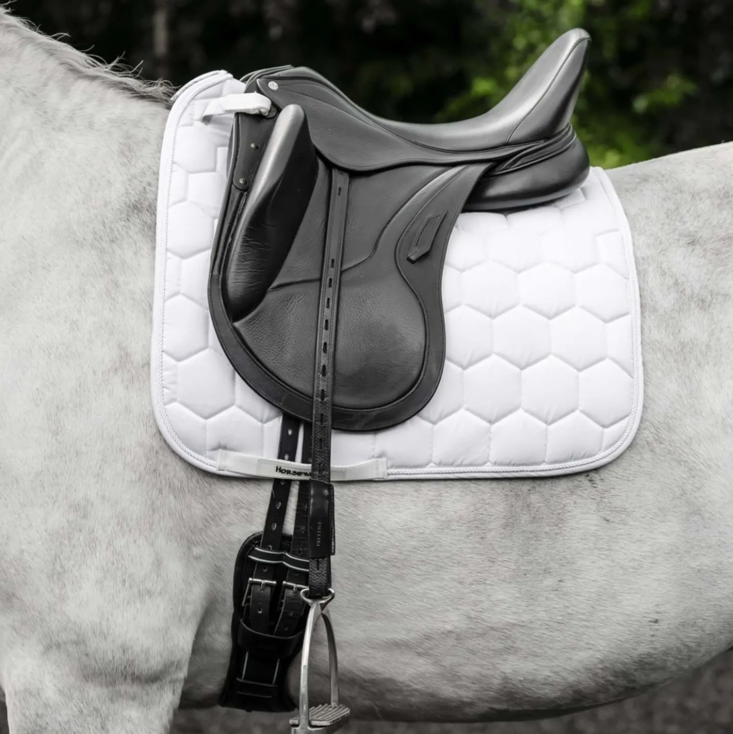 Horseware Zadeldekje Ionic Dressuur Wit