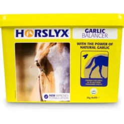 Horslyx Garlic