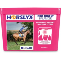 Horslyx Pro Digest Balancer