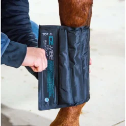 Ice-Vibe Cold Packs II 2 Stuks Zwart